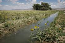 An irrigation canal, fed by a natural spring, flows through part of the Baker Ranch in rural Wh ...