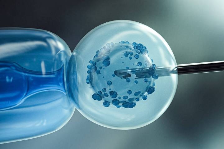 Nevada Gov. Joe Lombardo vetoed a bill aimed to protect such infertility treatments as in vitro ...