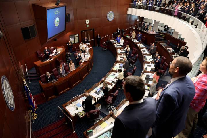 Senators and lobbyists recite the Pledge of Allegiance to open a floor session on the final day ...