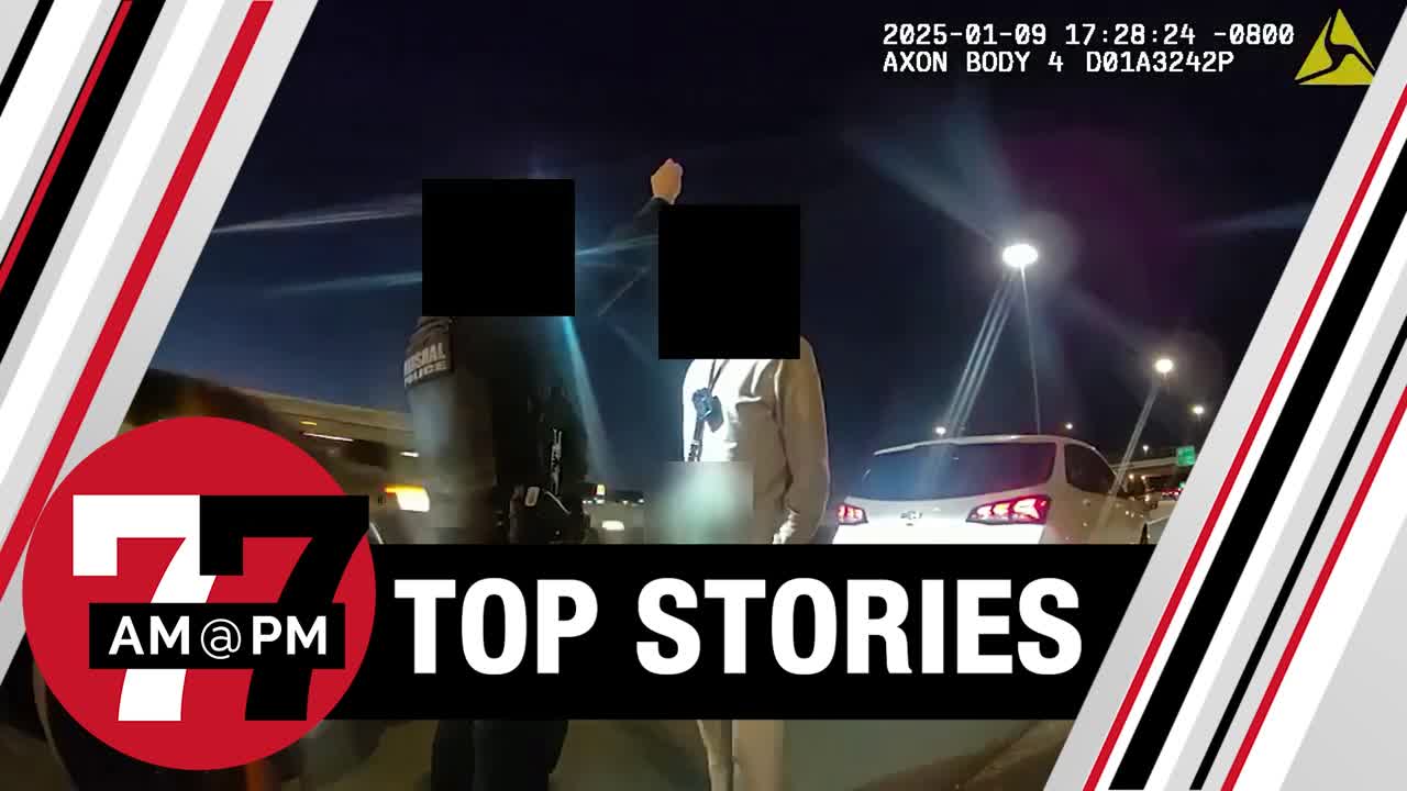 Las Vegas charges motorist who filed federal lawsuit over his arrest