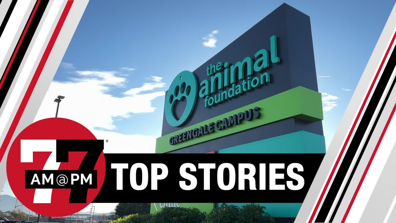 Stopgap funding approved for The Animal Foundation